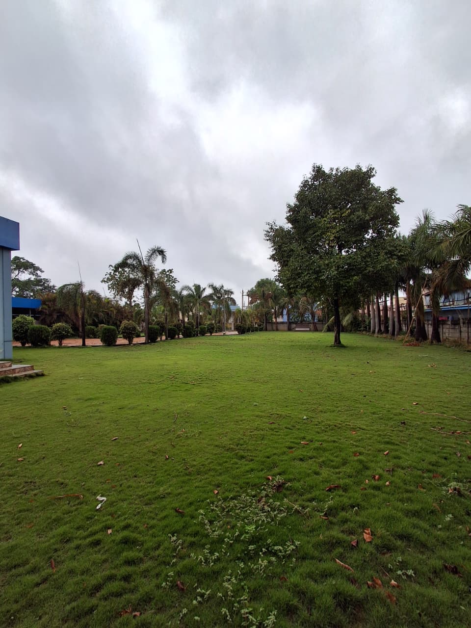 A Verdant Retreat in the Heart of Durg